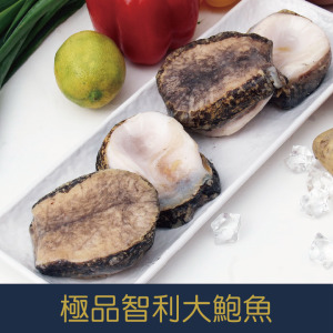 【就是愛海鮮】樂可思極品智利大鮑魚200g±10%/顆1包 滷製/火鍋 高貴不貴營養價值高[量大可配合批發/團購]