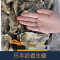 【就是愛海鮮】日本奶香生蠔XXXL-10kg±10%每顆約300g10%(生食級)[量大可配合批發/團購]
