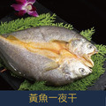 【就是愛海鮮】黃魚一夜干300-350g±10%/隻 黃魚的肉質美味，是頂級食用魚之一 [量大可配合批發/團購]