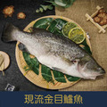 【就是愛海鮮】台灣極鮮現流金目鱸魚 450g±10%魚骨細刺少【冷凍真空出貨】[量大可配合批發/團購]