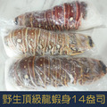 【就是愛海鮮】野生頂級龍蝦身15-16盎司±10%單隻[量大可配合批發/團購]