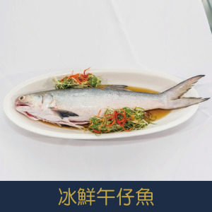 【就是愛海鮮】 冰鮮-午仔魚200-300g細嫩鮮美口感綿密[量大可配合批發/團購]