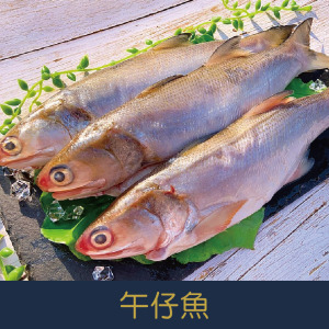 【就是愛海鮮】 午仔魚200-250g【冷凍真空出貨】細嫩鮮美口感綿密[量大可配合批發/團購]