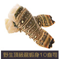 【就是愛海鮮】野生頂級龍蝦身10盎司±10%[量大可配合批發/團購]