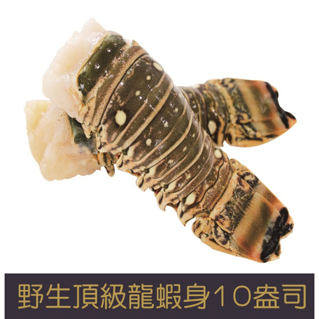 【就是愛海鮮】野生頂級龍蝦身10盎司±10%[量大可配合批發/團購]