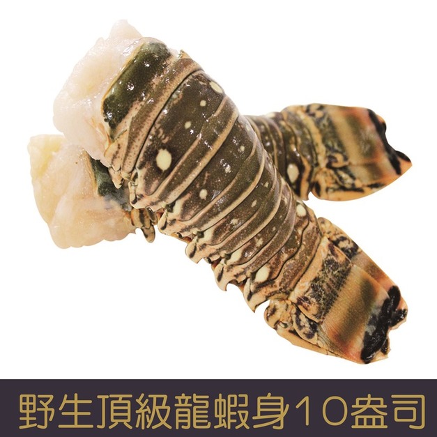 【就是愛海鮮】野生頂級龍蝦身10盎司±10%[量大可配合批發/團購]