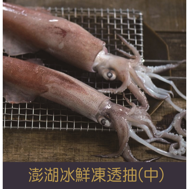 【就是愛海鮮】澎湖冰鮮凍透抽(中)500±10%[量大可配合批發/團購]