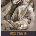 【就是愛海鮮】鮮凍肉鯽魚/肉魚 (2隻/包)200g±10%[量大可配合批發/團購]
