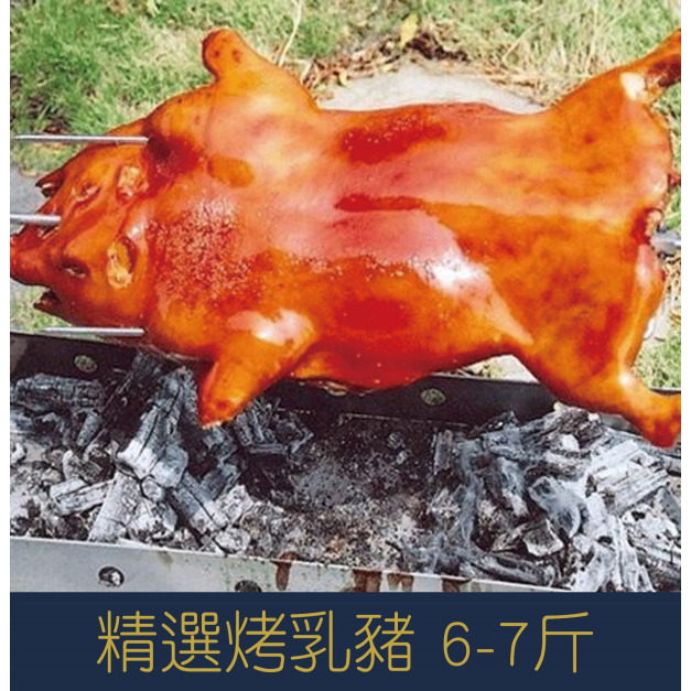 【就是愛海鮮】精選烤乳豬 6-7斤 ±10% (含用具、烤豬架)[量大可配合批發/團購]