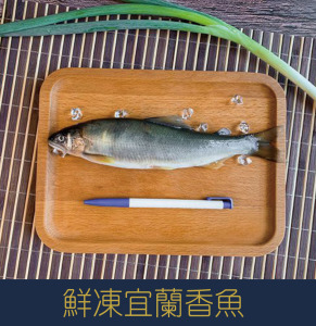 【就是愛海鮮】鮮凍宜蘭香魚250-300g±10%[量大可配合批發/團購]