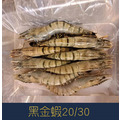 【就是愛海鮮】黑金蝦20/30 480g±10%[量大可配合批發/團購]