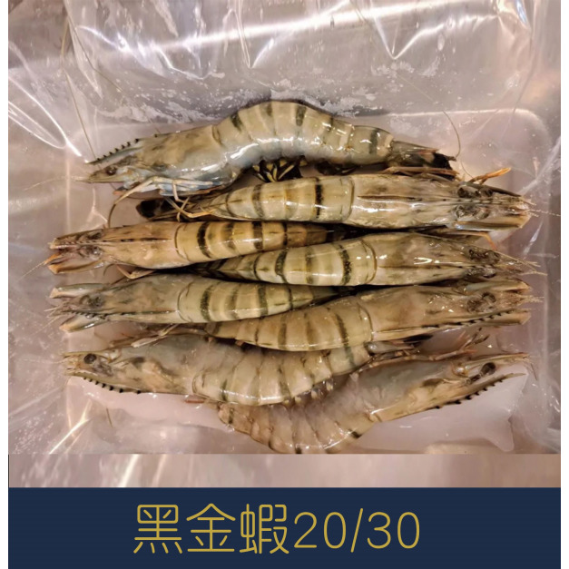 【就是愛海鮮】黑金蝦20/30 480g±10%[量大可配合批發/團購]