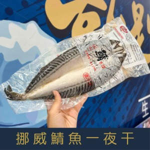 【就是愛海鮮】鯖魚一夜干大規格320-360g&plusmn;10% 燒烤/煎/氣炸 [量大可配合批發/團購]
