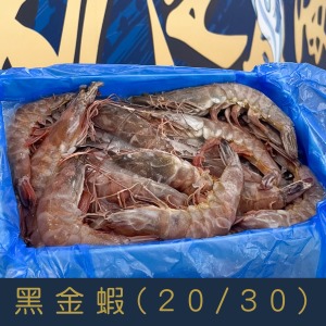 【就是愛海鮮】黑金蝦20/30 480g&plusmn;10%[量大可配合批發/團購]