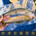 【就是愛海鮮】鮮凍宜蘭香魚250-300g&plusmn;10%[量大可配合批發/團購]