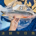 【就是愛海鮮】 午仔魚200-250g【冷凍真空出貨】細嫩鮮美口感綿密[量大可配合批發/團購]