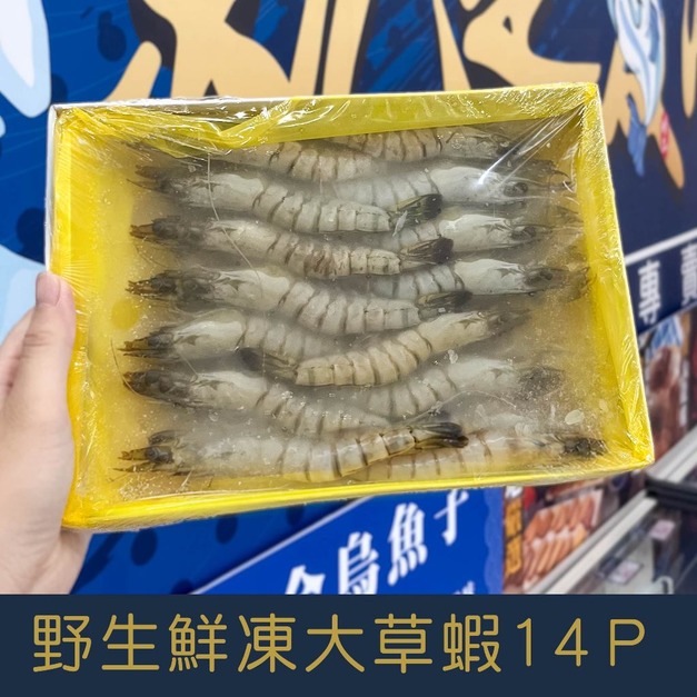 【就是愛海鮮】野生鮮凍草蝦14p 實重270g&plusmn;10% 燒烤/鹽烤/火鍋 愛蝦首選 [量大可配合批發/團購]
