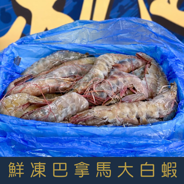 【就是愛海鮮】凍鮮巴拿馬(小紅帽)大白蝦31/40 500g&plusmn;10% 如缺貨出同規格不同包裝(量大可配合批發/團購)