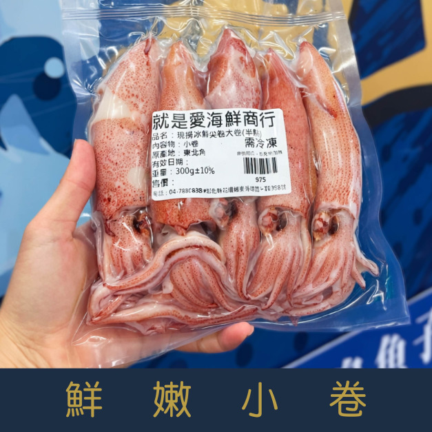 【就是愛海鮮】現撈冰鮮尖卷小卷300g[量大可配合批發/團購]
