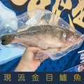 【就是愛海鮮】台灣極鮮現流金目鱸魚 450g&plusmn;10%魚骨細刺少【冷凍真空出貨】[量大可配合批發/團購]