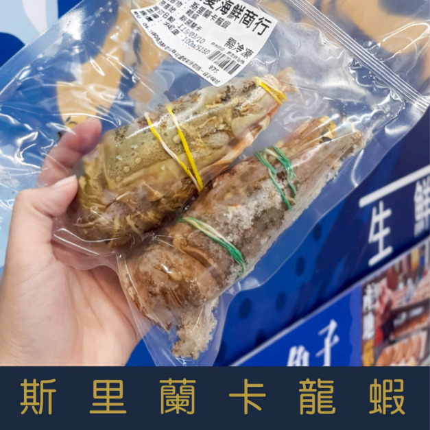 【就是愛海鮮】斯里蘭卡龍蝦200~250g/隻 燒烤/火鍋/蒸 一人一隻超霸氣 烤肉首選 [量大可配合批發/團購)