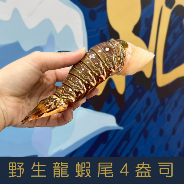 【就是愛海鮮】野生頂級龍蝦身4盎司&plusmn;10%單隻[量大可配合批發/團購]