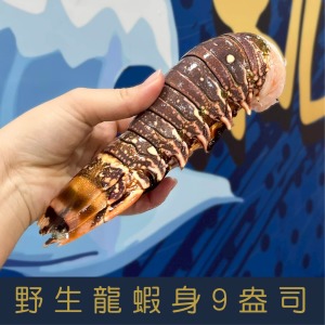 【就是愛海鮮】野生頂級龍蝦身9盎司&plusmn;10%單隻[量大可配合批發/團購]