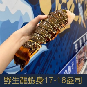 【就是愛海鮮】野生頂級龍蝦身17-18盎司&plusmn;10%單隻[量大可配合批發/團購]