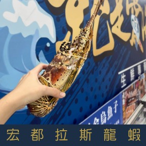 【就是愛海鮮】宏都拉斯龍蝦630-690g/隻 燒烤/火鍋/蒸 一人一隻超霸氣 烤肉首選 [量大可配合批發/團購)