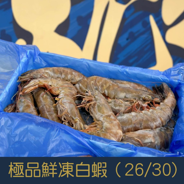 【就是愛海鮮】白蝦 大白蝦26/30特大白蝦 金牌蝦 500g&plusmn;10%/盒) 如缺貨出同規格不同包裝[量大可配合批發/團購]