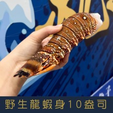 【就是愛海鮮】野生頂級龍蝦身10盎司&plusmn;10%[量大可配合批發/團購]