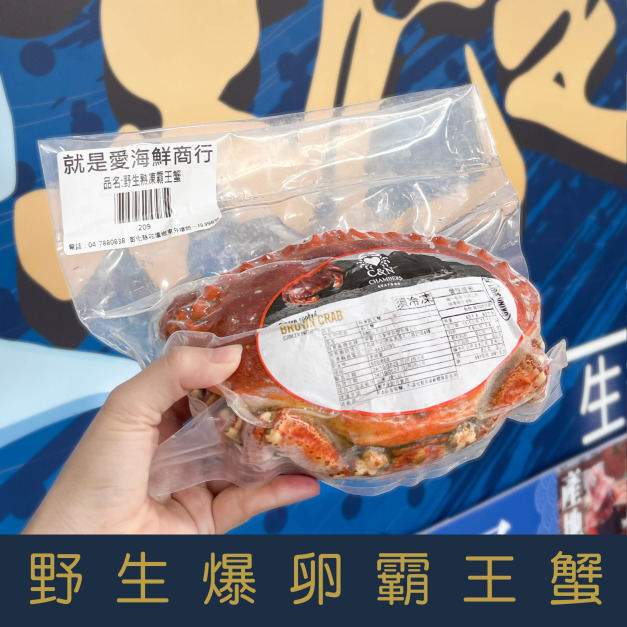 【就是愛海鮮】野生爆卵霸王蟹/麵包蟹600/800[量大可配合批發/團購]