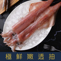 【就是愛海鮮】極鮮嫩透抽(約3-5隻)-藍袋 300-330g [量大可配合批發/團購]