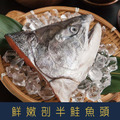 【就是愛海鮮】鮮嫩剖半鮭魚頭500g±10%[量大可配合批發/團購]