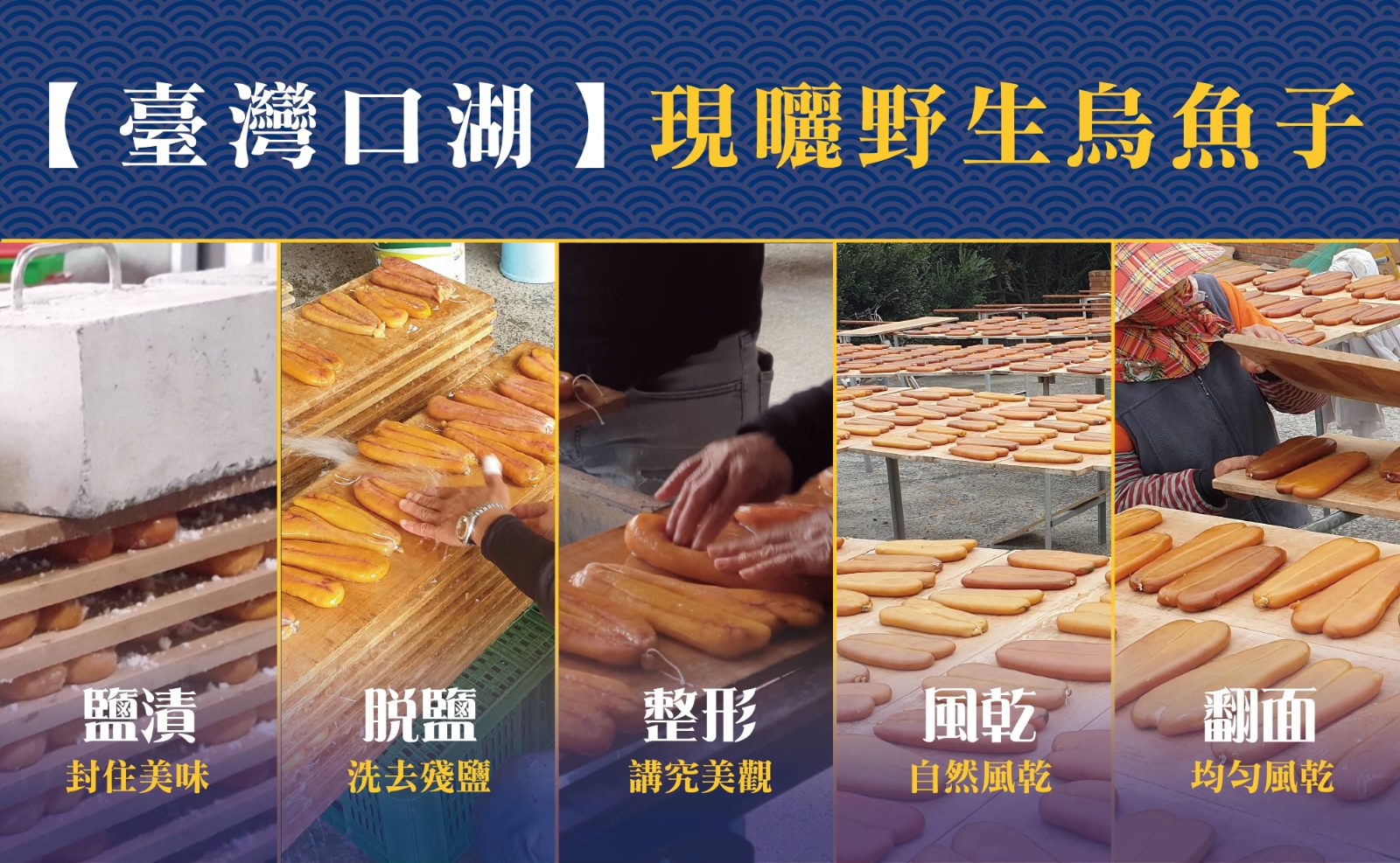 臺灣口湖現曬野生烏魚子