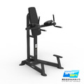 [商用|] SPIRIT 商用重訓 SP-4215 Leg Raise / Dip 雙槓撐體抬腿屈伸訓練機_1