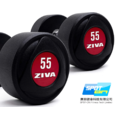 [商用||HomeGym] ZIVA 商用重訓 自由重量 SL系列 PU材質啞鈴 (27.5-50kg 整組）_1
