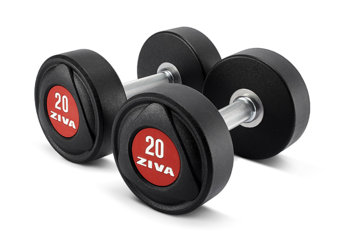 [商用||HomeGym] ZIVA 商用重訓 自由重量 SL系列 PU材質啞鈴 (27.5-50kg 整組）