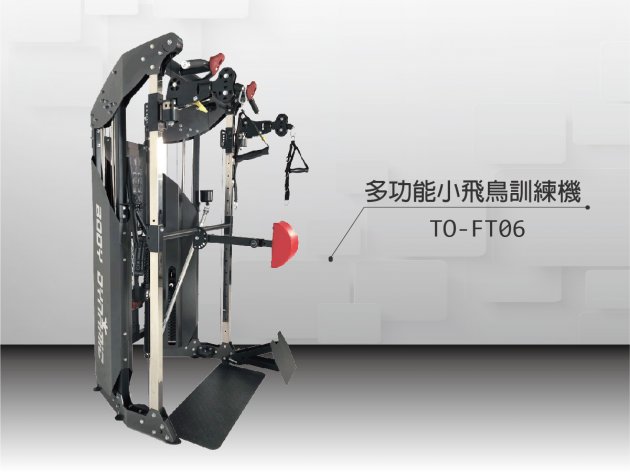 [家用|輕商用|公設|HomeGym]  BODY DYNAMIC TO-FT06 輕商用 家用重訓 多功能小飛鳥重量訓練機