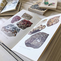 礦物學辭典_4