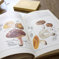 蘑菇與真菌百科_3