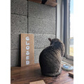 OPEN + CLOSED/常備手繪實木招牌_5