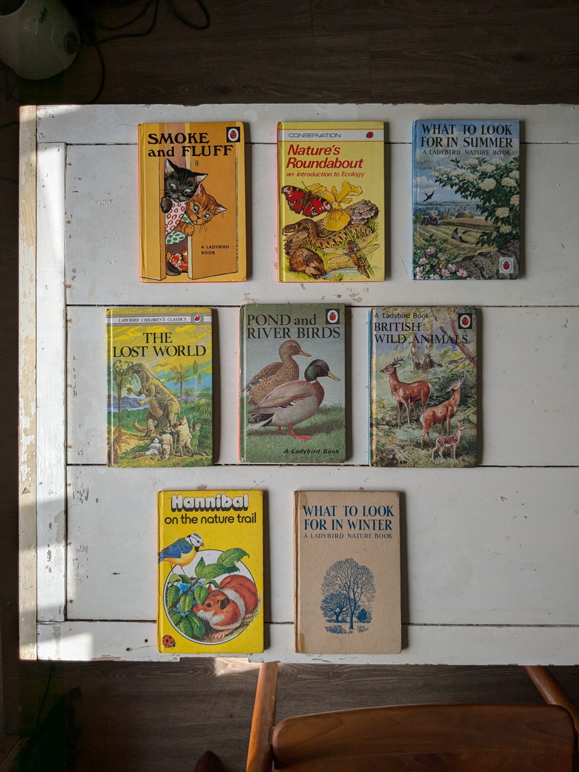 Ladybird Books 童書系列