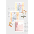 Zebra斑馬-三系列5色入、兩用便利貼(方格)組合_2