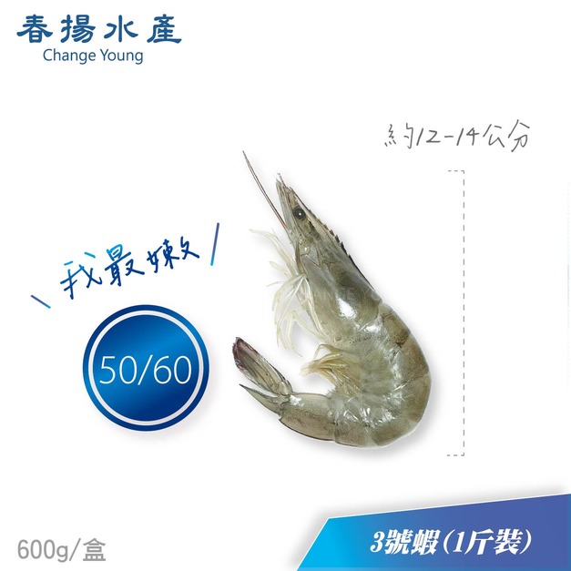 急凍白蝦︱3號小蝦