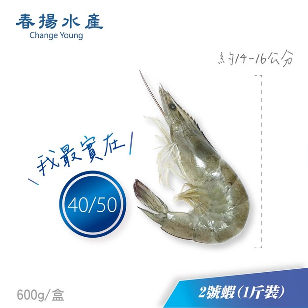 急凍白蝦︱2號中蝦