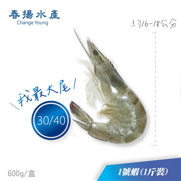 急凍白蝦︱1號大蝦