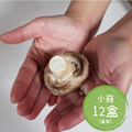 新鮮有機厚鮮香菇(小菇)( 6 /12 盒) - 免運優惠_2