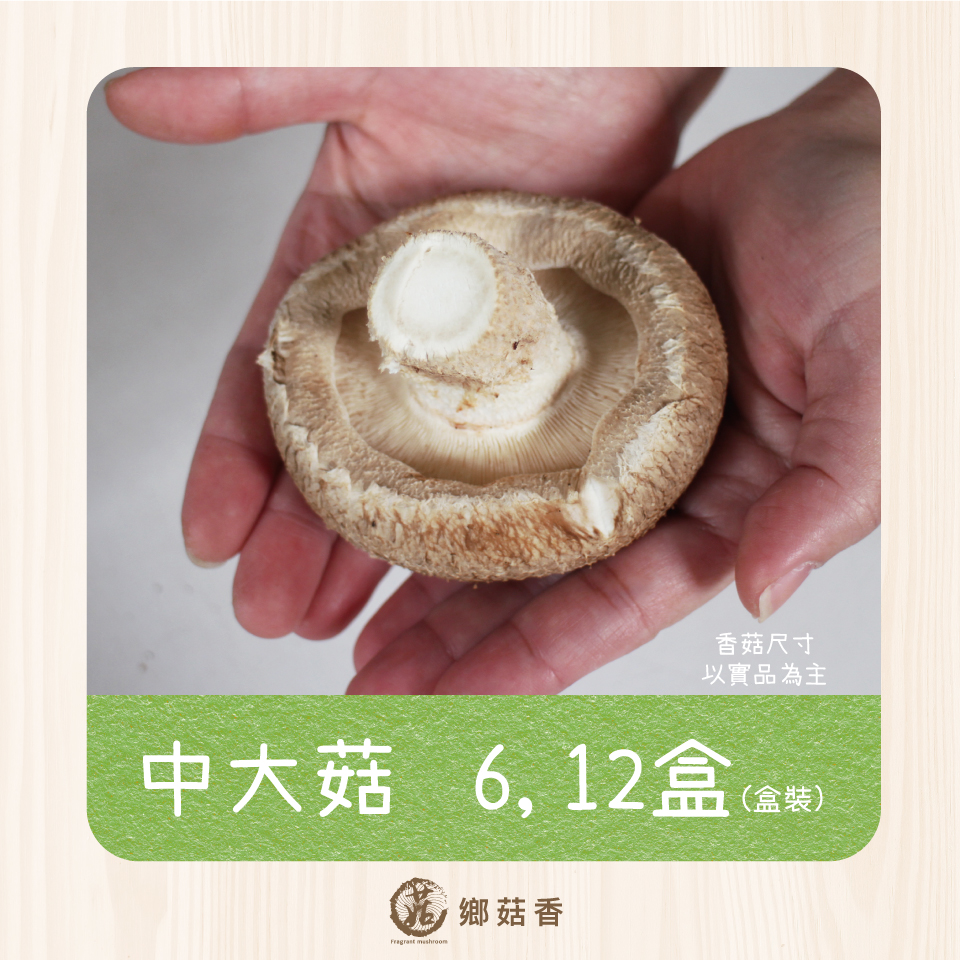 新鮮有機厚鮮香菇(中大菇)( 6 /12 盒) - 免運優惠