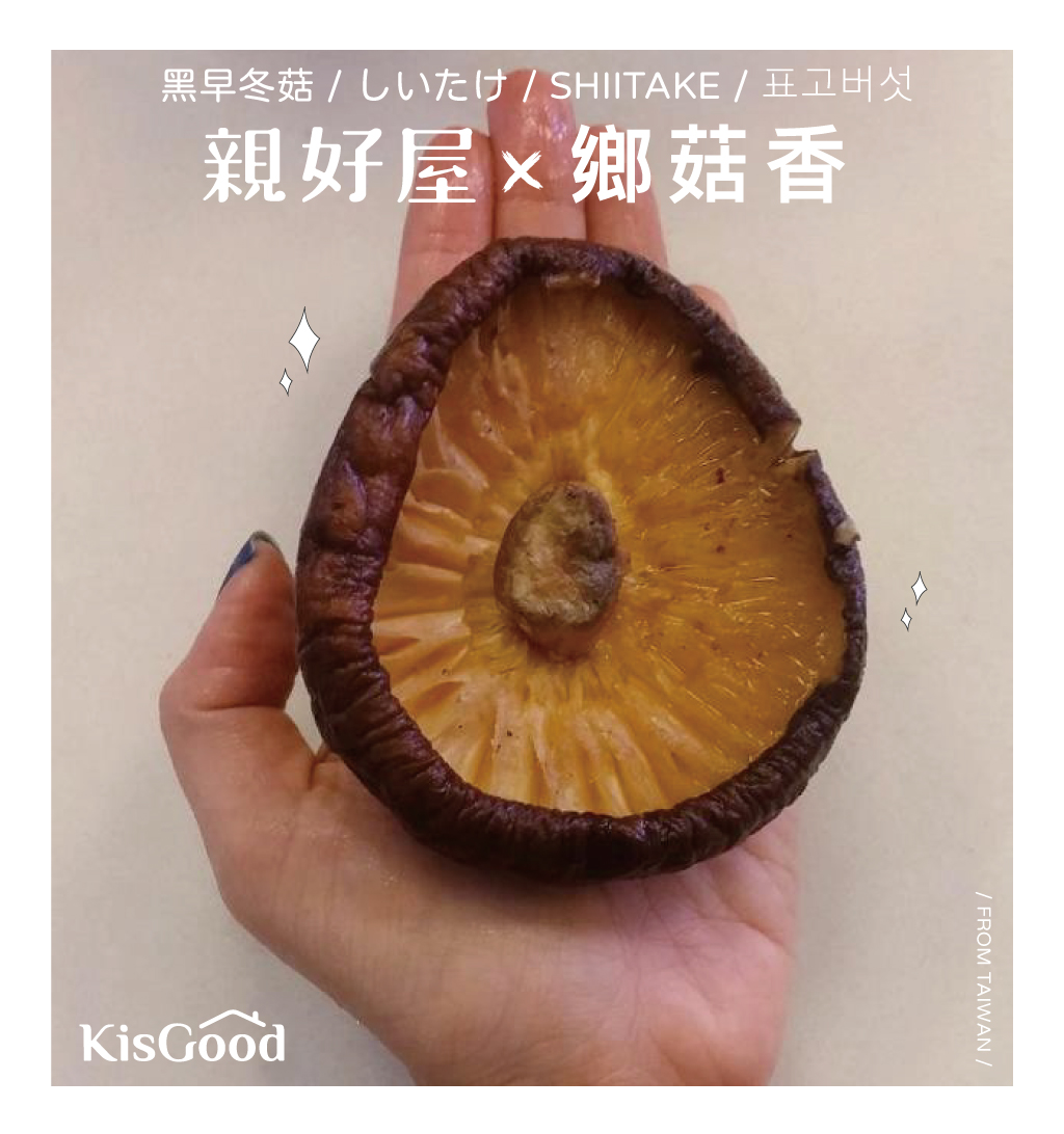和手掌一樣大的黑早冬菇特級大菇